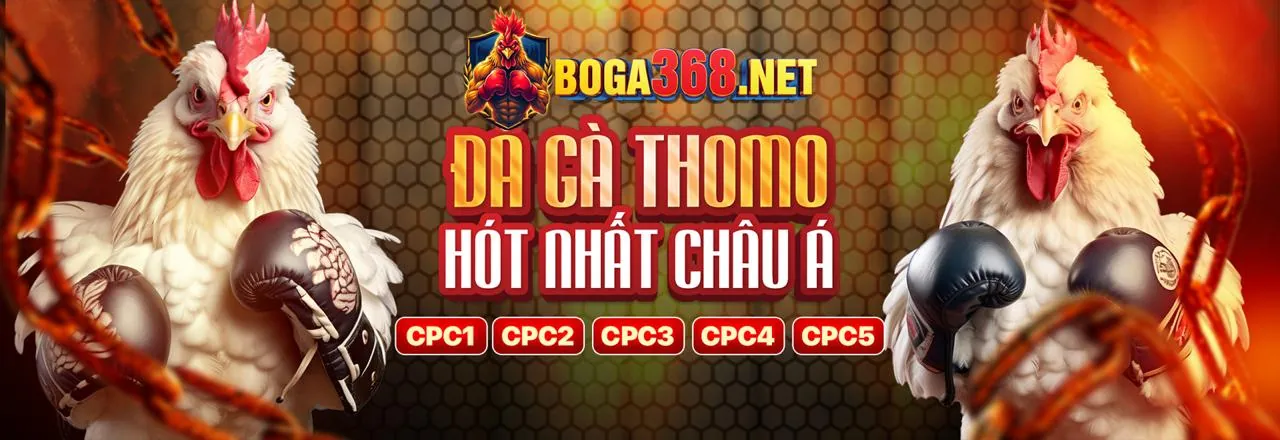Hình ảnh chính của trang phân tích sự kiện thể thao hbbet